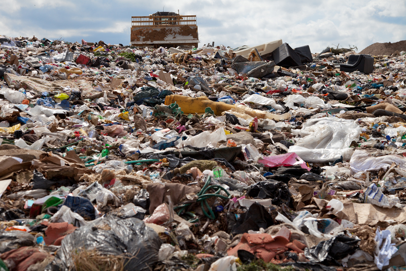 How Smart Disposal of Cardboard Can Help the Environment
